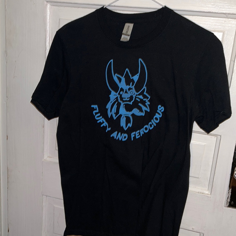 Zelda BOTW graphic tee